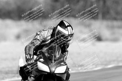 media/Nov-11-2023-SoCal Trackdays (Sat) [[efd63766ff]]/Track Exit (1130am until Lunch)/